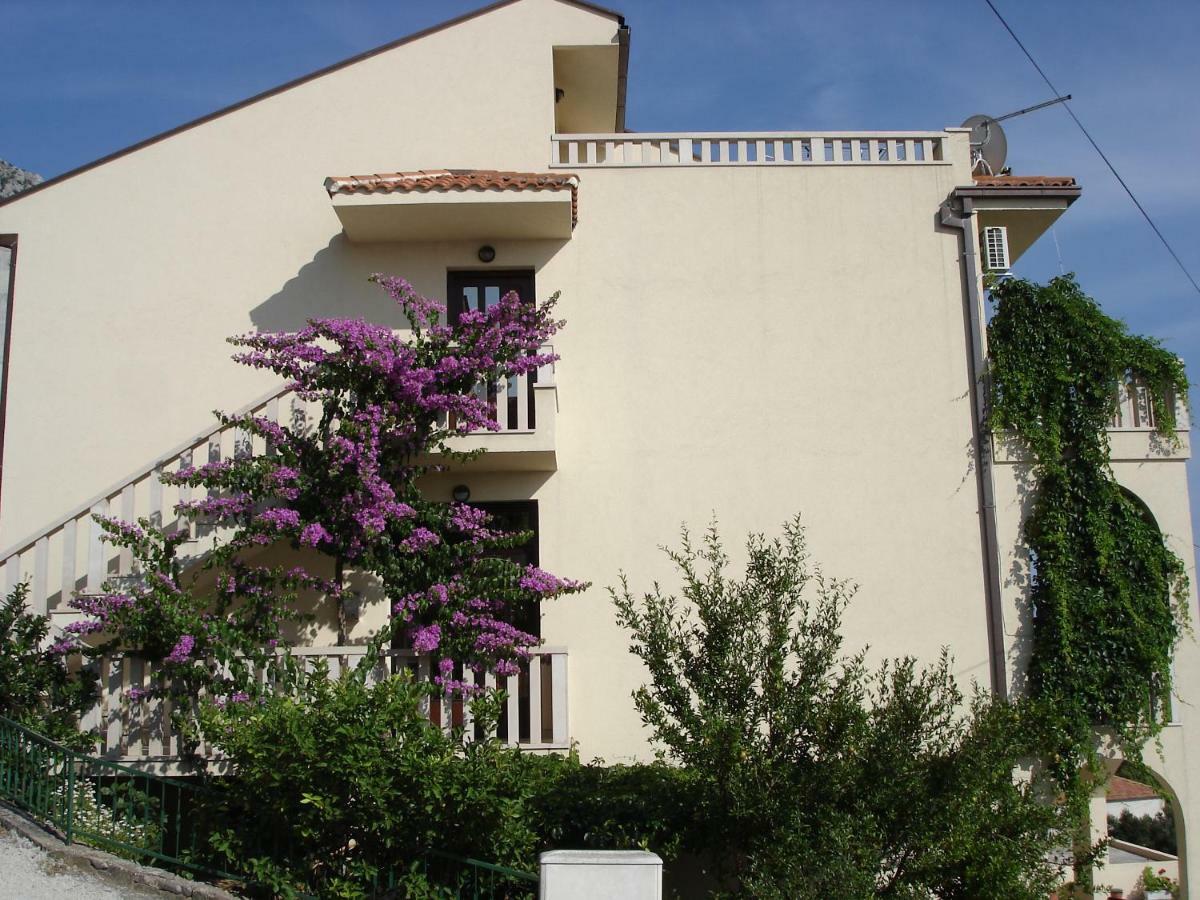 Apartments Branka ماكارسكا المظهر الخارجي الصورة